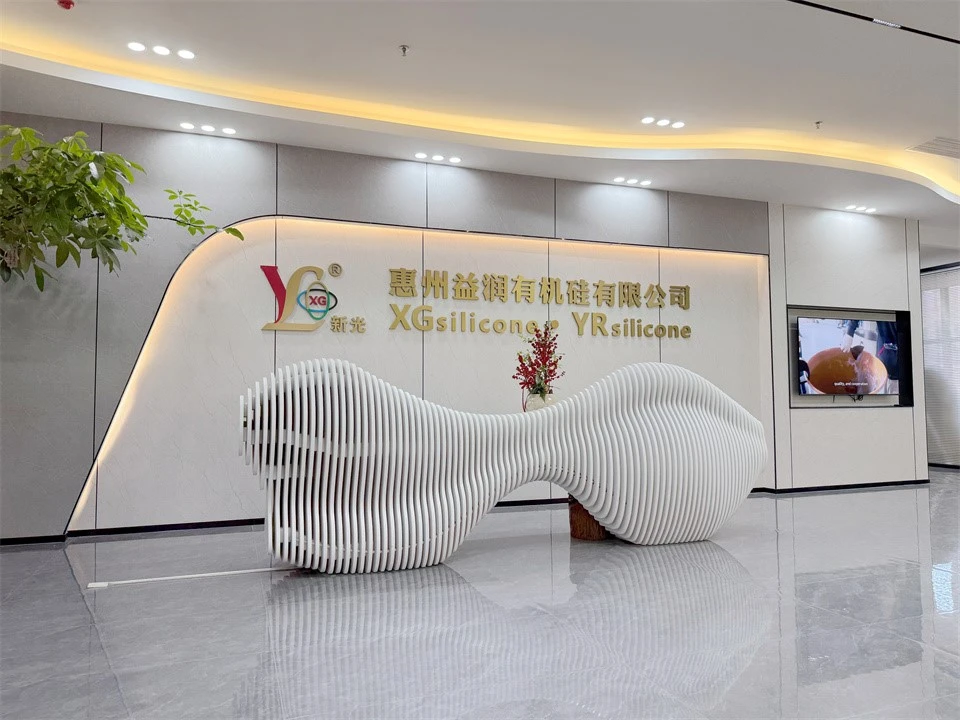 XGSILICON Vietnam company profile